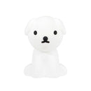 Mr Maria Snuffy First Light