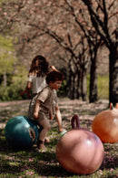 Find That Hippo Bola Saltitante Azul