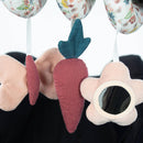 Pasito a Pasito Espiral Coelho Garden