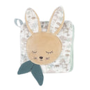 Pasito a Pasito Livro Actividades Coelho Serengueti