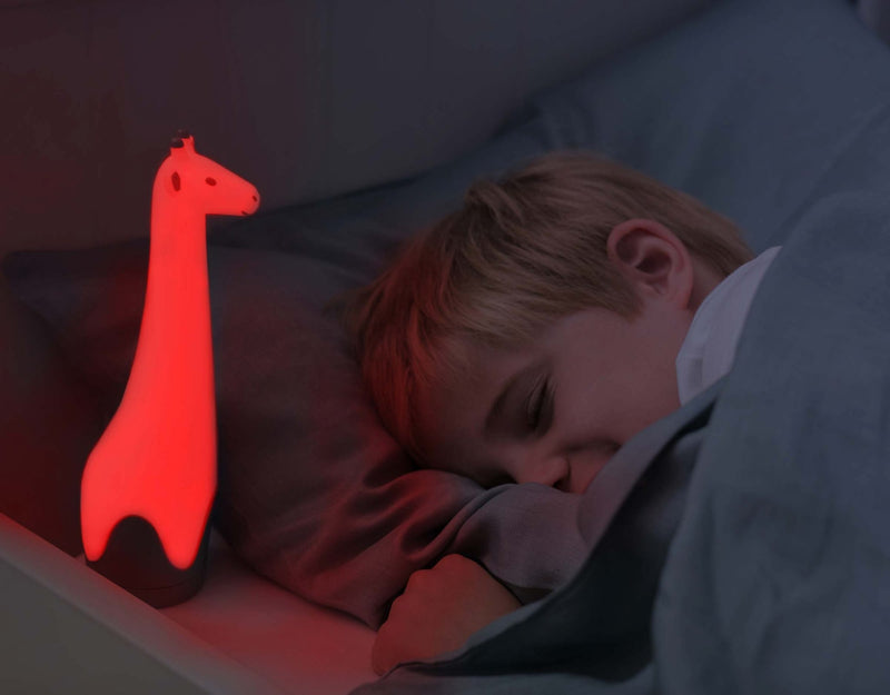 Zazu Kids Gina Lanterna e Luz de Presença Grey