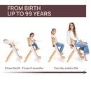 Chicco Cadeira de Papa Meraviglia Fossil