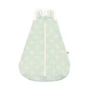 Ergobaby Saco Dormir on The Move 6-18 Sttarry Mint Tog 2.5