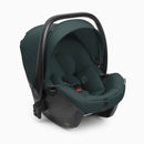 Chicco Kory Plus i Size Fir Tree