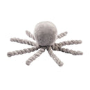 Nattou polvo cinzento