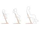 Cybex Iris 3 en 1 totalmente natural
