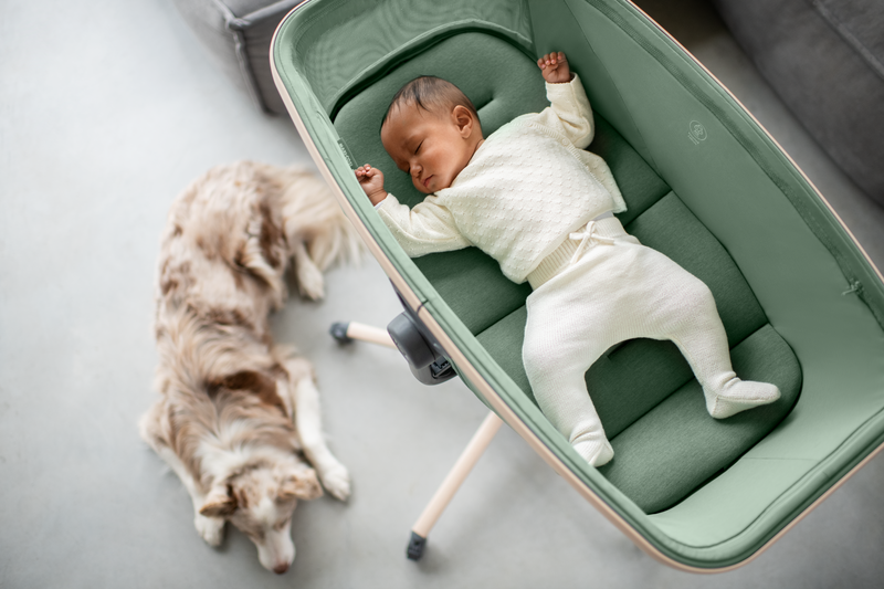 Maxi Cosi Alba Beyond Green