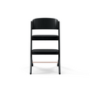 Cybex Lemo Platinum Black Wood