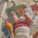 Tiny Love Ginasio Dynamic Gymini Farmers