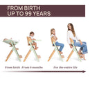 Chicco Cadeira de Papa Meraviglia Olive