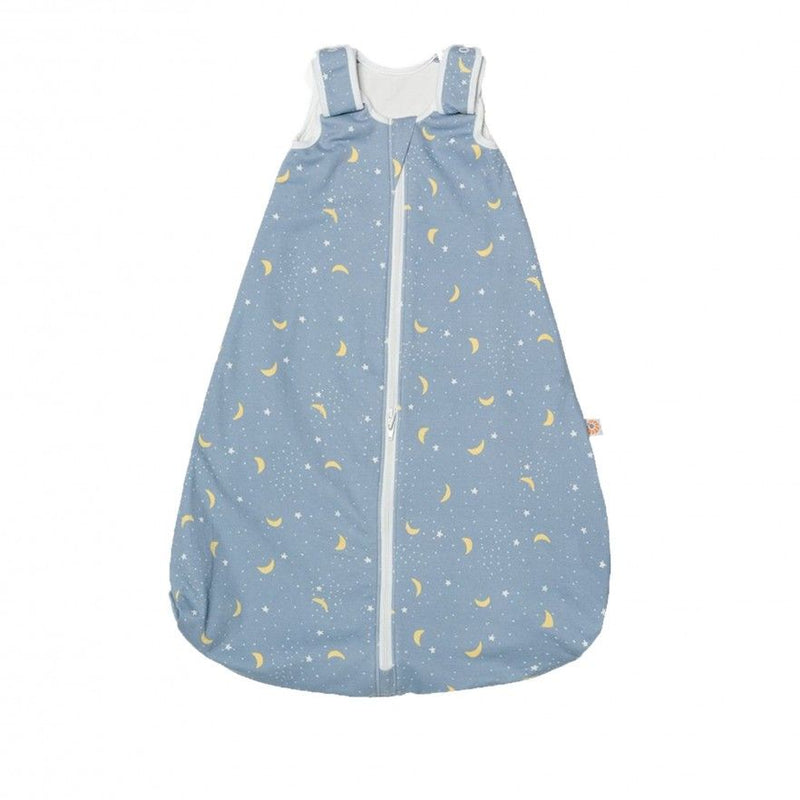 Ergobaby Saco de Dormir 18-36m Stellar TOG 2.5