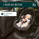 Chicco Kory Plus i Size Fir Tree