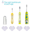 Chicco Escova Electrica Tigre Amarelo 3 Anos+