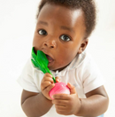 Oli & Carol Mordedor Ramona The Radish