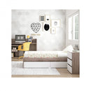 Trama Covertivel Combi Acácia Branco Mate