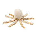 Nattou polvo sand e caramel