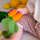 Oil & Carol Cathy The Carrot Mini Doudou