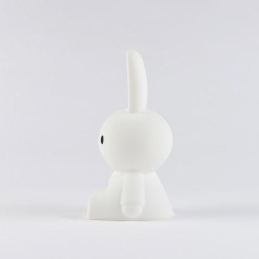 Mr Maria Miffy First Light