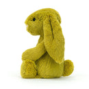 Jellycat bashfull zingy bunny medium