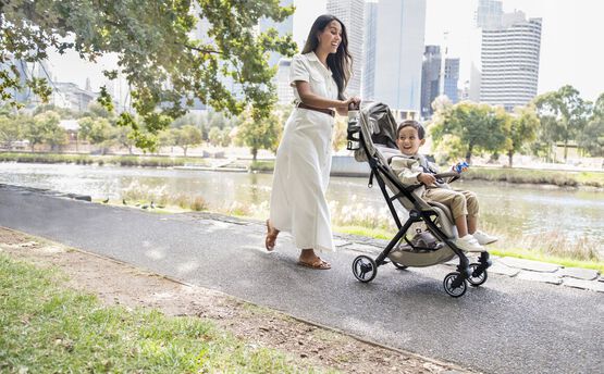 Britax Romer Flylite Teak