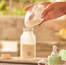 Munchkin Concha Colectora Leite