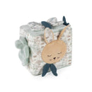 Pasito a Pasito Cubo actividades Coleho Serengueti