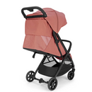 Inglesina Quid 3 Aurora Pink