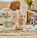 Tiny Love Ginasio Dynamic Gymini Farmers