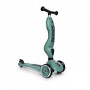 Trotinete Highwaykick One Forest